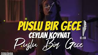 Ceylan Koynat - Puslu Bir Gece ( Dj Dogushiba Remix ) Resimi