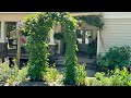 Take a Peek at Renee DiLorenzo’s Garden!