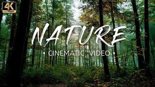 Nature - Cinematic Video | Samsung Galaxy S20 Fe 5G screenshot 5