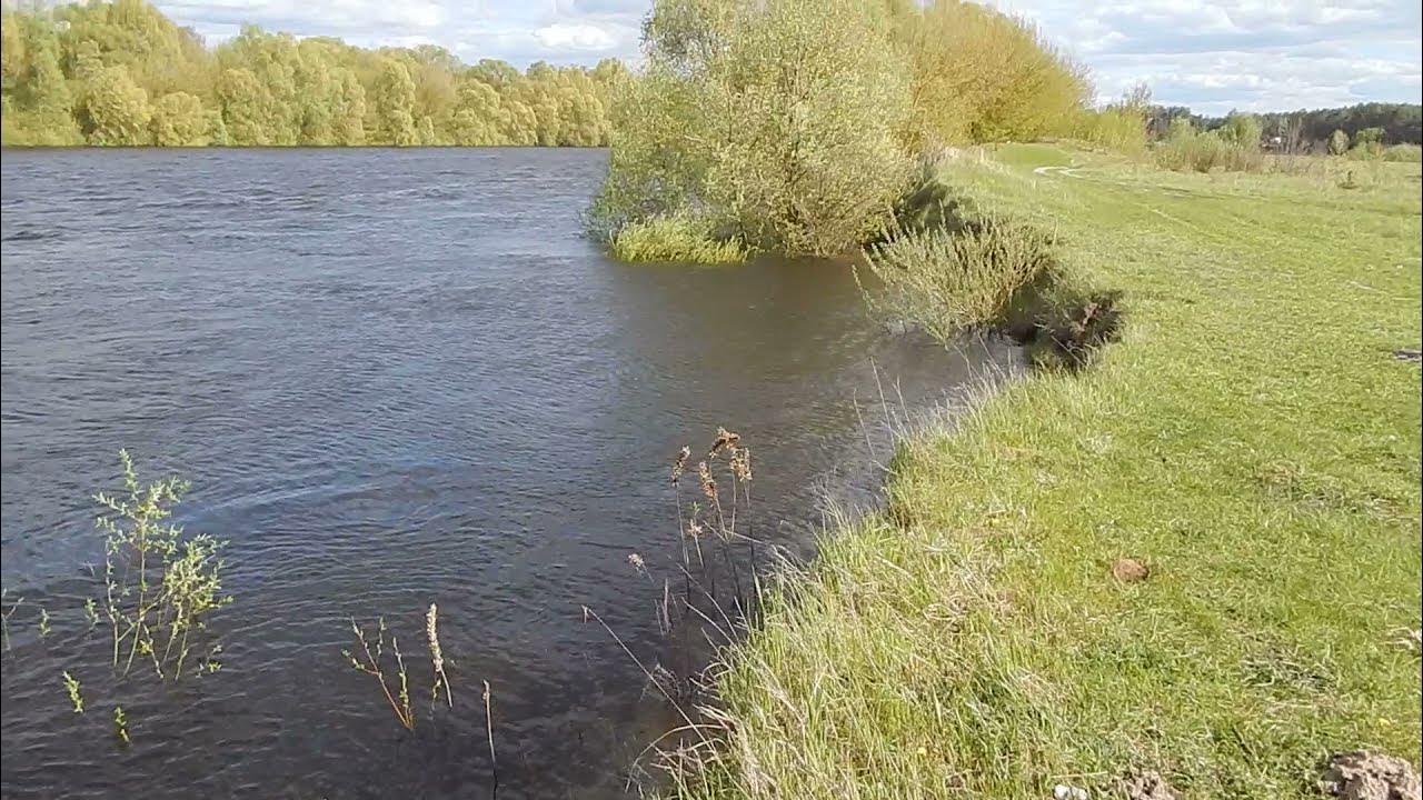 Река разливалась широченным озером с поросшими. Пироговка (приток ИЖА). Река Десна разлив. Река Пироговка. Озеро в Пироговке.