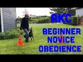 Akc beginner novice obedience bn exercises explained and demonstrated