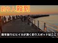 釣り人殺到!数年振りに東京湾でヒイカが爆沸きしていると噂のスポットはここ!
