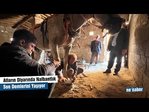 Atların Diyarında Nalbantlık Son Demlerini Yaşıyor