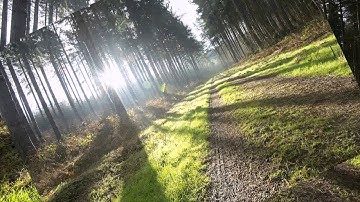 الشيخ القارئ محمد السعوي سورة الأعراف آية 19