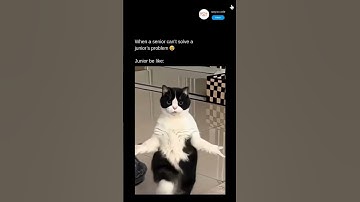 When a Senior Can’t Solve a Junior’s Coding Problem | Funny Programmer Meme | LIKE SHARE SUBSCRIBE