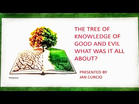 THE TREE OF KNOWLEDGE OF GOOD AND EVIL WHAT WAS IT ALL ABOUT - YouTube
