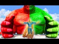 Hulk SMASH Red Hulk &amp; Doctor Fate | Hulk Avengers Power Hero