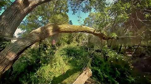 Insta360 One R Invisible drone mount