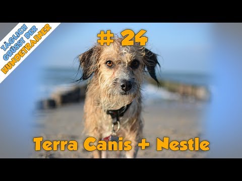 Terra Canis und Nestle - Hunde Ernährung - TGH 24
