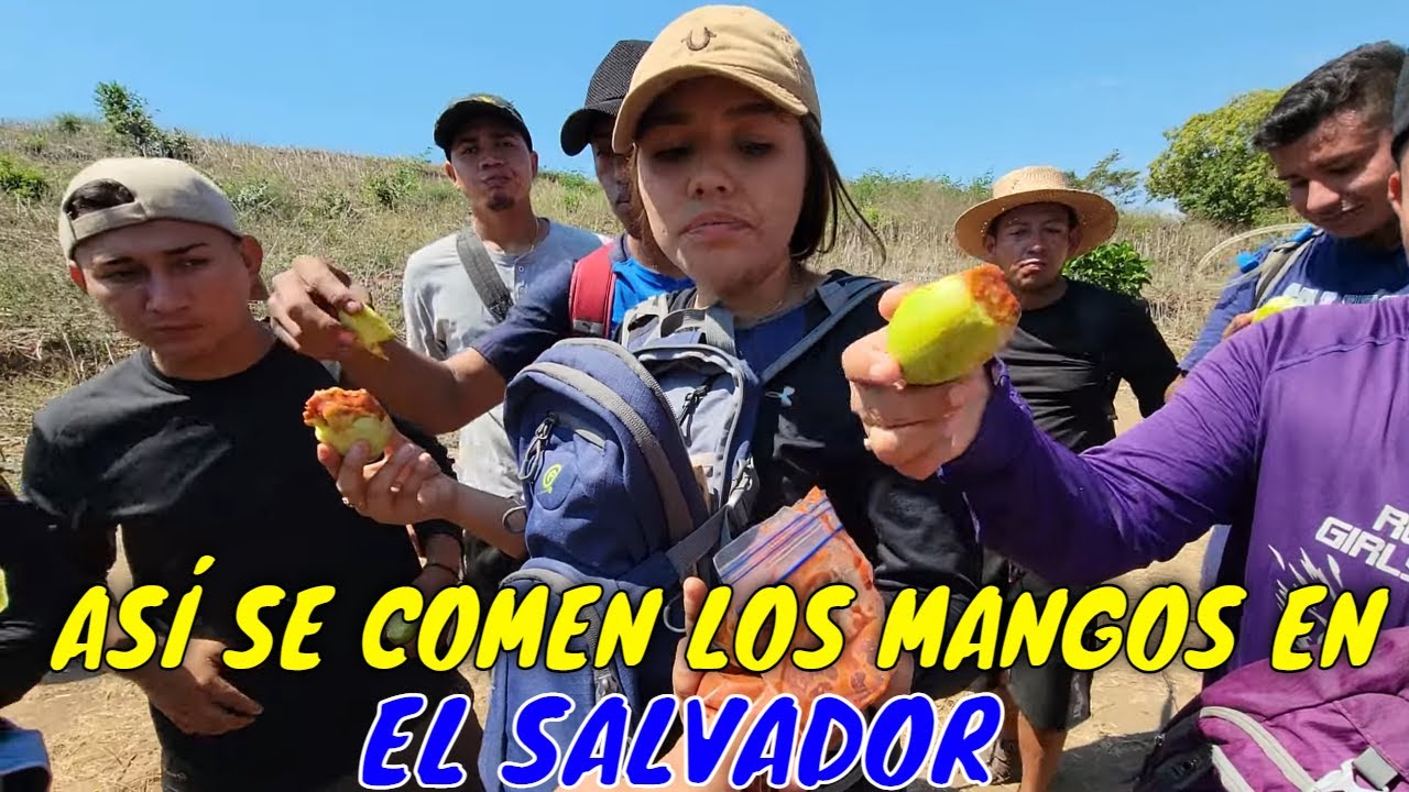 Mira como disfrutan los bichos comiendo mangos con estas salsas picantes. Parte 4