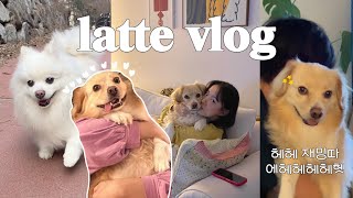 [Eng] 라떼 관리의 날 브이로그 Rich and Latte's Beauty Day vlog | 탄천 산책 | 샘물ASMR | 뽀송한 털 관리 | 광란의 인형 뜯기 | 사료먹방 by 온리주연JOOYEON 1,011 views 1 year ago 24 minutes