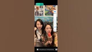 Cacabella live