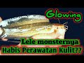 Berburu monster lele di bekas galian tambang pasir pancingmisteri