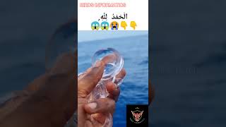 Rarest Creation Of Allah Of Allah Signs