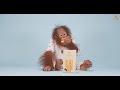 Animalia - Orangutan Benji samples some snacks ASMR