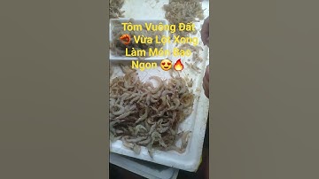 Tôm Vuông Đất Về Lột 🦐 Làm Món Gây Nghiện Luôn! 🤯🍽️ #datmuivlogs #food #shortvideo #short #shorts