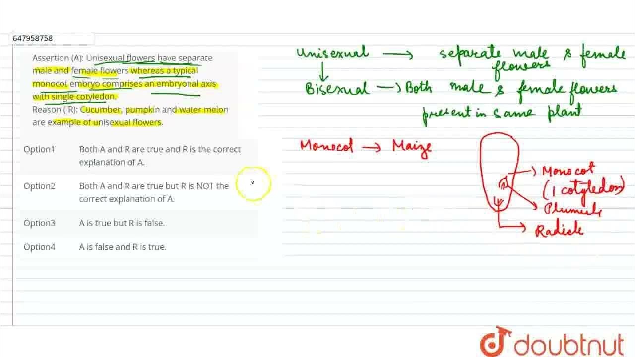 Assertion (A) Unisexual flowers have separate male and female flowers