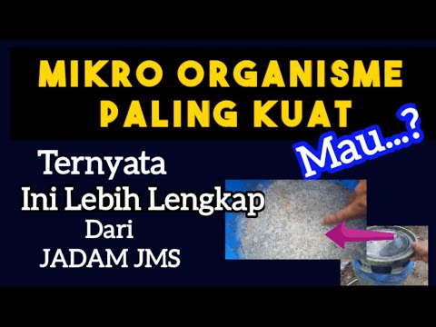 Video: Apa yang Dilakukan Mikroba Tanah: Dapatkah Tanaman Mengambil Manfaat Dari Mikroba Tanah