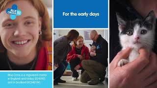 To Give or Get Help. We're Here For You | Blue Cross by Blue Cross UK 2,486 views 2 years ago 1 minute, 1 second