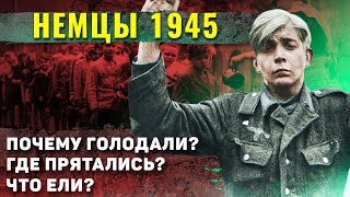 видео: Как жили простые немцы во времена Второй Мировой? картинка: Как жили простые немцы во времена Второй Мировой?