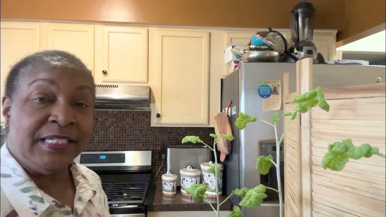 Plant Once Harvest for 10+ years. Perennial Purple Tree Collards