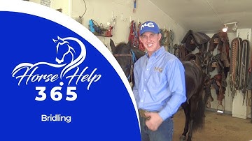 Bridling | Horse Help - Michael Gascon