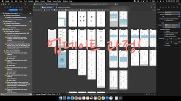 [코딩] 업데이트란... (Xcode, 아이폰 어플)