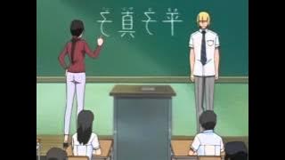 My introduction to the Immas