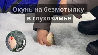 Глухозимье ОТМЕНИЛИ! Поклевки. Окунь на безмотылку в глухозимье. Разрез Караганда