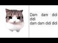 Dam Dam Didi Didi Cat Meme Full Version Lyrics