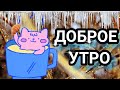 💗🌞🎄доброе  утречко хорошего дня! 💗😊💗С   добрым   утром!🌞🎵 красивое музыкальное пожелание 🎵