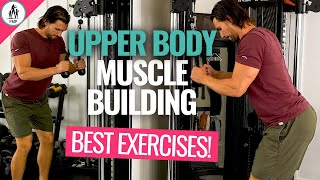 Use These 7 Upper Body Exercises To Build Muscle! by The Fit Mother Project - Fitness For Busy Moms 5,423 views 4 months ago 16 minutes
