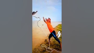 kỳ lạ với cách câu cá này #shorts #dongvat #funny #trending #thucunggaycuoi