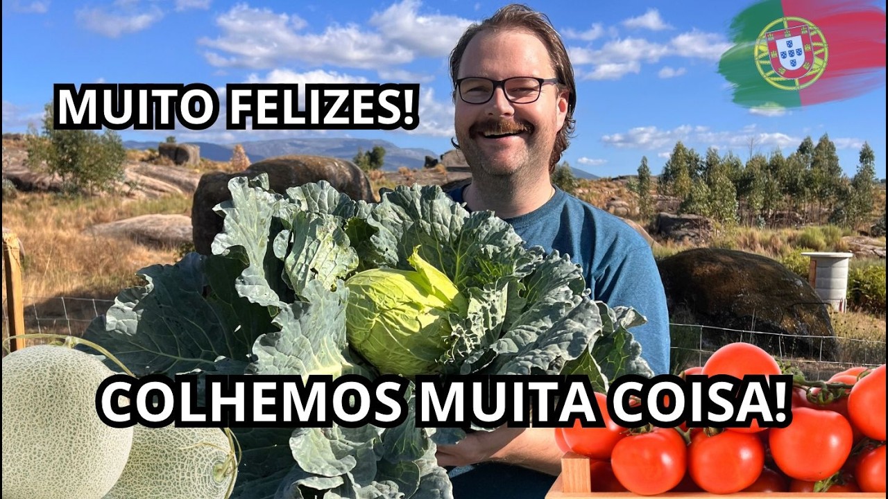 Dia de Colheita: Muitos Tomates e REPOLHOS GIGANTES!
