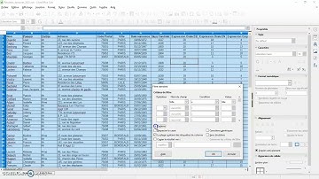 LibreOffice 6 1 1 2 Calc   Filtrer des données