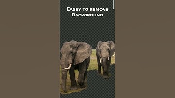 Pixcut - remove background