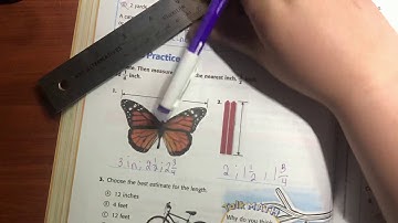 MyMath Ch.11 lesson 1