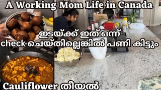 🇨🇦Working Mom Daily Routine / Day In My Life Malayalam / #canada #malayalam