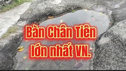 Bàn Chân Tiên (Núi Sập), lớn nhất VN.