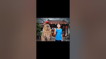 Capy cùng anh giúp bà tiết kiệm nước và cái kết #capybara #vuive #giaitri #cuocsongcuacapy