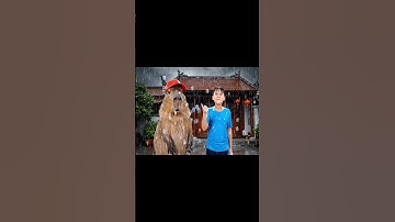 Capy cùng anh giúp bà tiết kiệm nước và cái kết #capybara #vuive #giaitri #cuocsongcuacapy