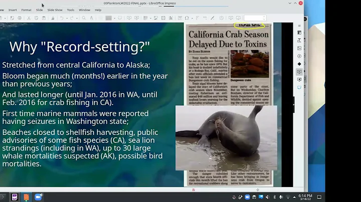 Lynette Wood - Learn About and See Live Plankton! ...