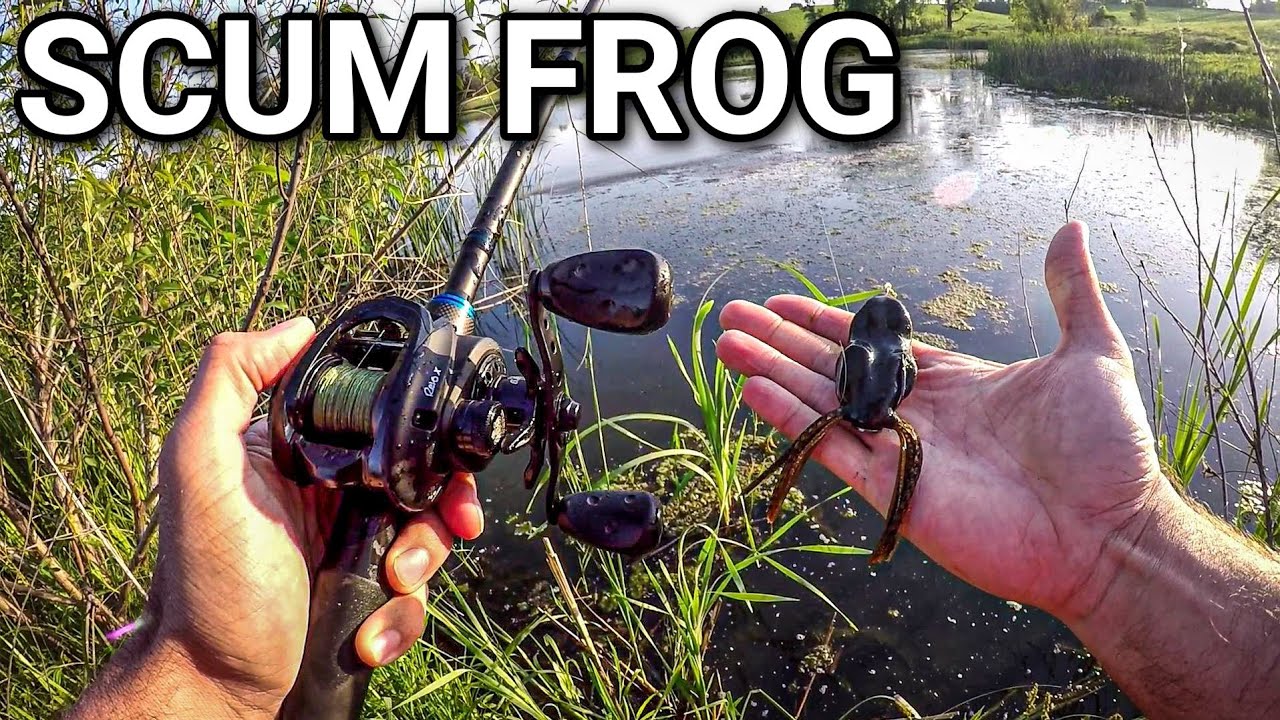 Frog Fishing for Hungry Post-Spawn Bass (Scum Frog Trophy Series)