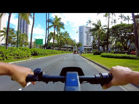 Ride The Streets of Waikiki on 350 Watt Electric Kick Scooter Niu KQi3 Pro @narox