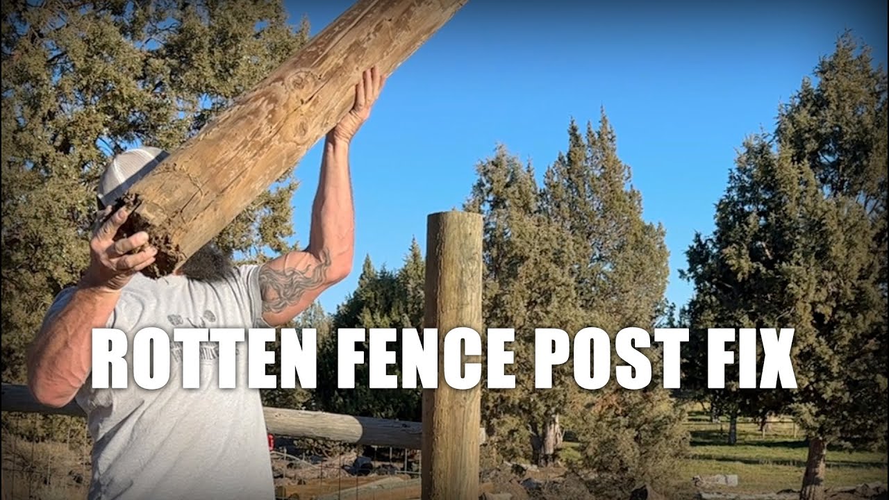 Replacing a Rotten Fence Post in a Cattle/Horse Pen for a Friend - YouTube