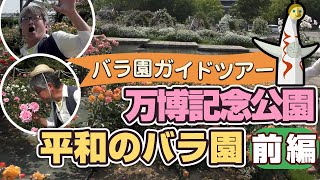 【バラ園ガイドツアー】万博記念公園/平和のバラ園〈前編〉小山内健がご案内♪ひとりガイドツアー（2021年5月23日撮影）（2021年5月28日）