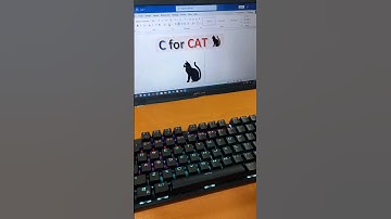 CAT 🐈 MS Word Symbol Shortcut Key #shorts #asmr #computer #tips #msword #atoz