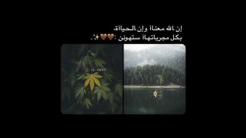 اجمل حالات واتس اب قران كريم بصوت جميل جدا 💚🎧 تلاوة هادئة جدا _حسام الدين عبادي