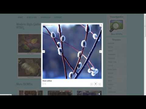 HTML Lightbox - Huge collection of fancy Lightbox themes!