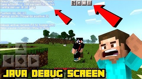 F3 button Mod For MCPE || java debug mod Minecraft